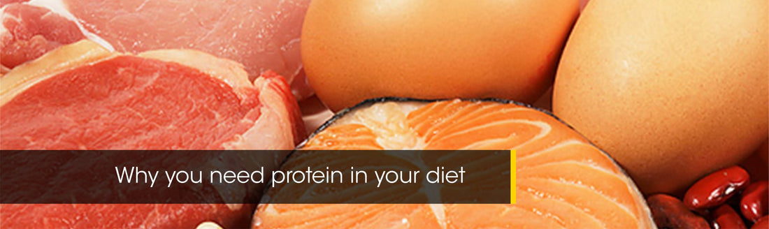 Why you need Protein in your diet
