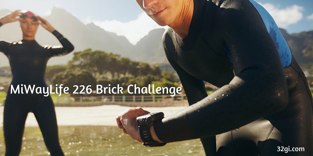 Glen Gore on 226 Brick Challenge