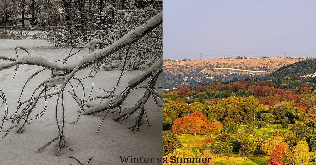 Winter vs Summer nutritional shifts